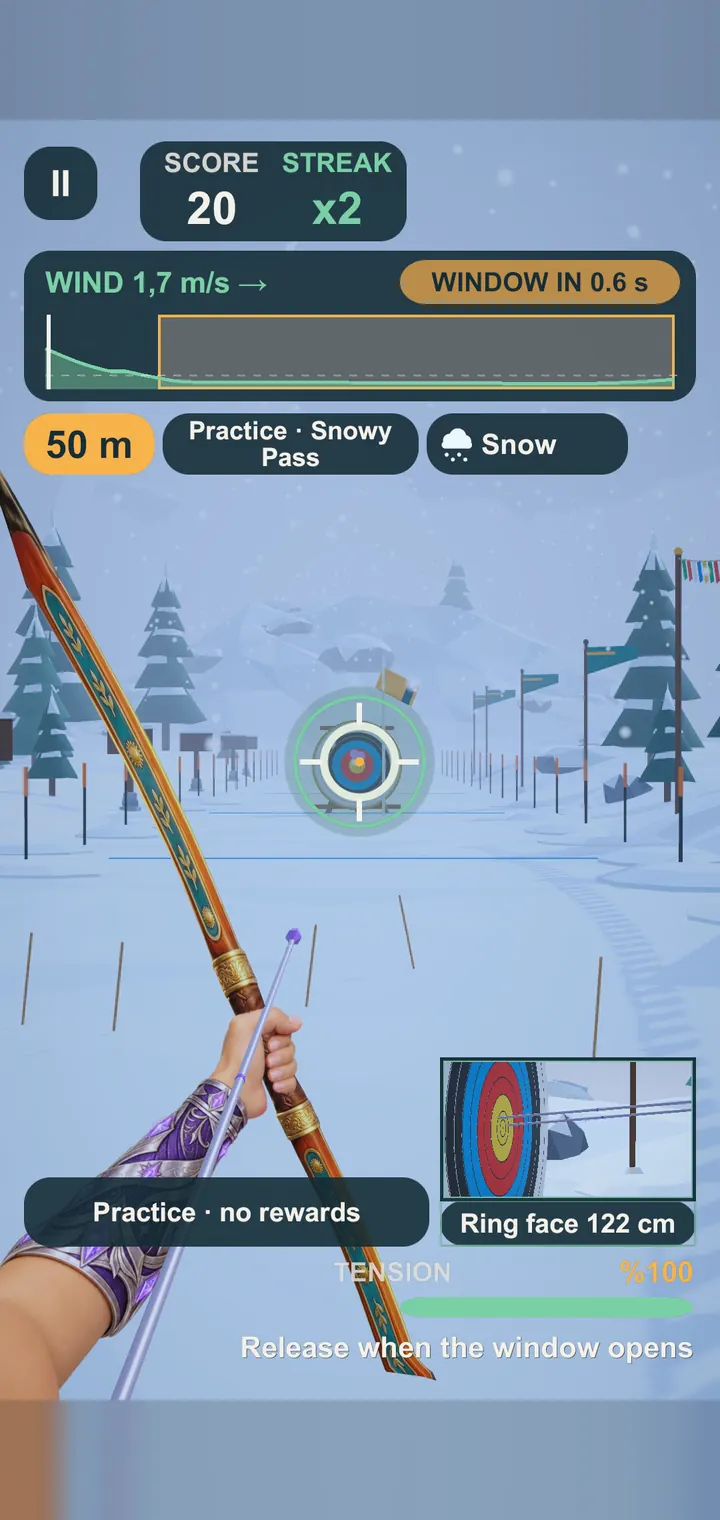 Aiming in the snow at Snowy Pass