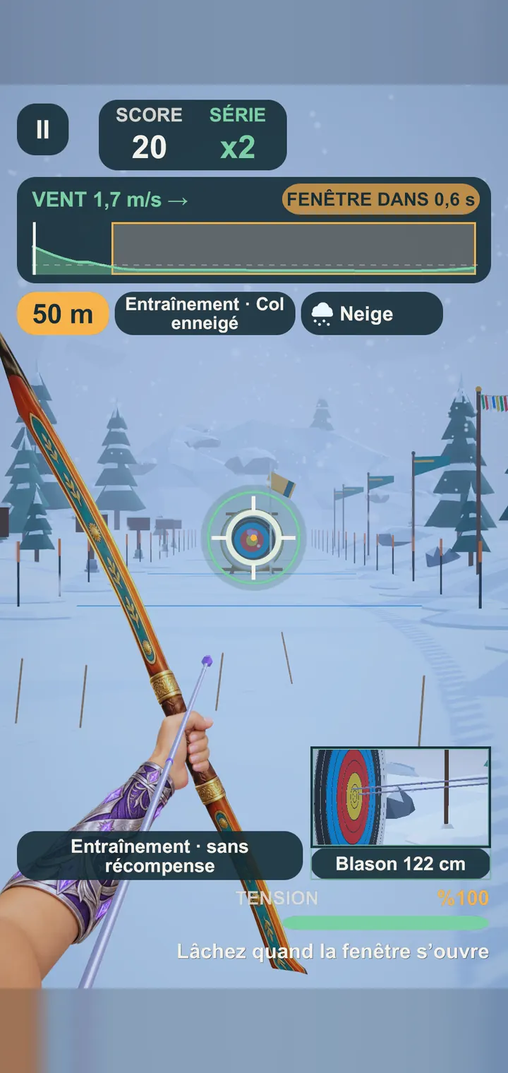 Viser sous la neige au Col enneigé